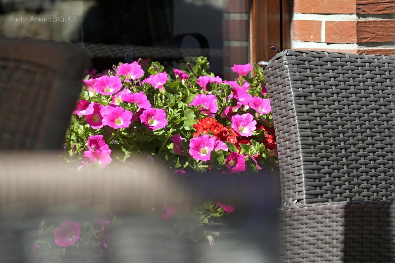 Bed and Breakfast Ferme St Martin Manhay Exteriér fotografie